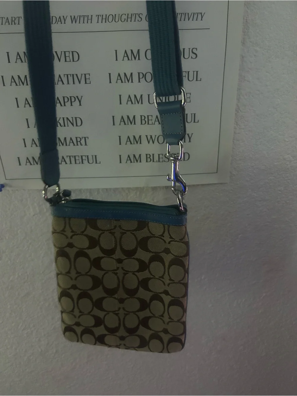 Coach Signature Crossbody Bag in Blue and Brown